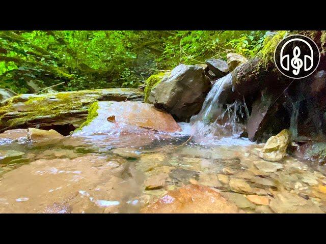 Mountain Stream 12 Hours. Nature sounds For Sleep, Relaxation and Meditation.