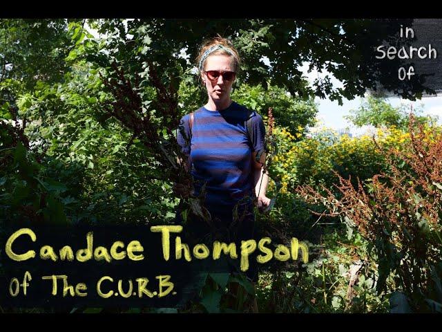Gardening Around the Edges of the Anthropocene — An interview with Candace Thompson of The C.U.R.B.