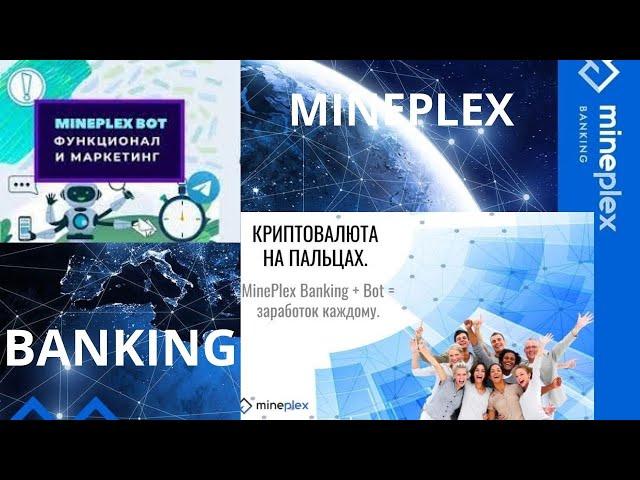 Александр Мамасидиков, CMO MinePlex  о криптобизнесе, блокчейне, MinePlex, команде и ценностях.