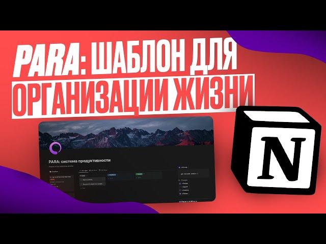 PARA: шаблон для организации жизни в Notion