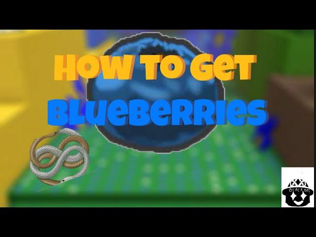 How To Farm Blueberries In Bee Swarm Simulator (20k in 5 nights)