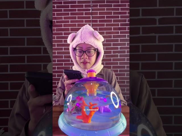 Bener gak sih gais?  #fish #pufferfish #ikanbuntal #spongebob #microscope #pet