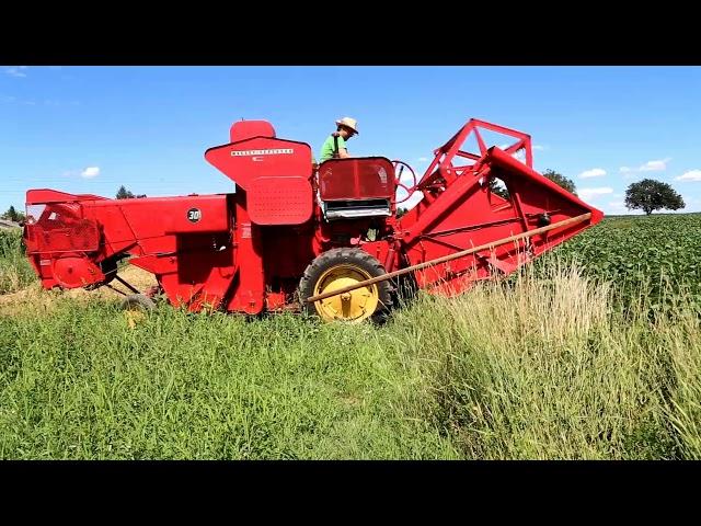 Massey Ferguson 30-6 bei der Weizenernte in Fürstenfeld