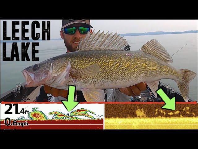 POWER FISHING Late Summer Walleyes on Leech Lake!