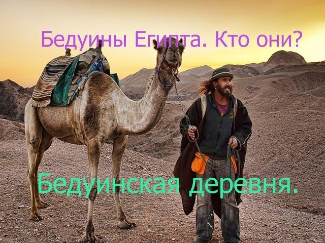 Лучший отдых Египет Бедуины Египта Кто они Бедуинская деревня