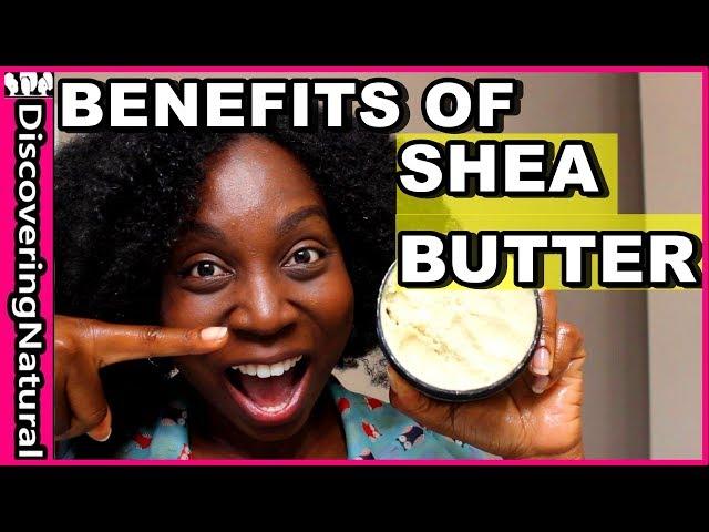 Benefits of Shea Butter on Natural Hair and Skin | Kadima