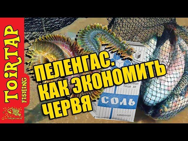 Секреты рыбалки на ПЕЛЕНГАСА!!  Что делать если червь слетает с крючка!