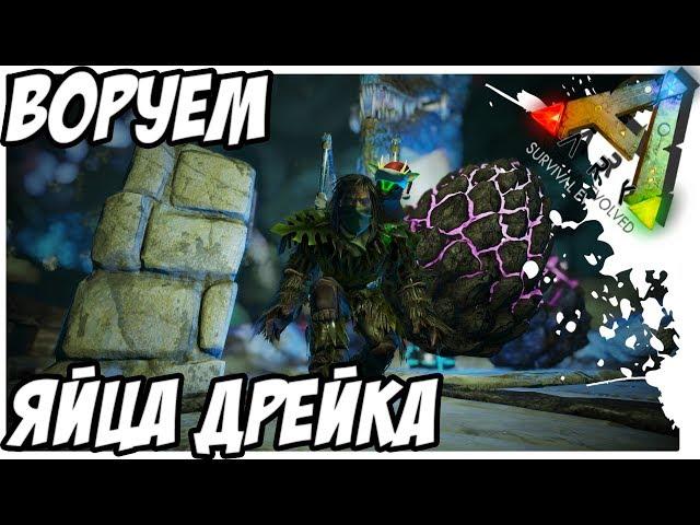 КАК ДОБЫТЬ ЯЙЦА ДРЕЙКА! МЯСО! 18+! ROCK DRAKE EGGS! ARK  Survival Evolved