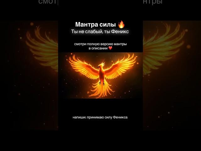 Мантра в описании #феникс #сила #творец #мотивация #победитель #духовныйрост #силамысли #рост