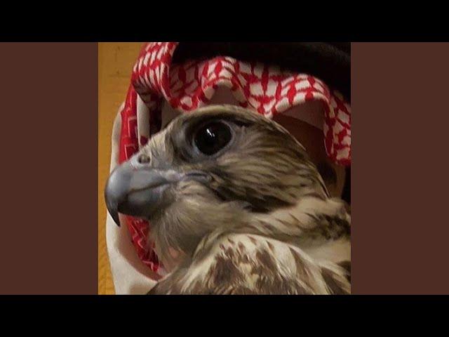 EAGLE ENNASR Trap Arabic Sample Type Beat