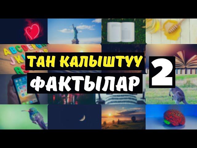 Тан калыштуу фактылар / Кызыктуу маалыматтар (80+ факт)