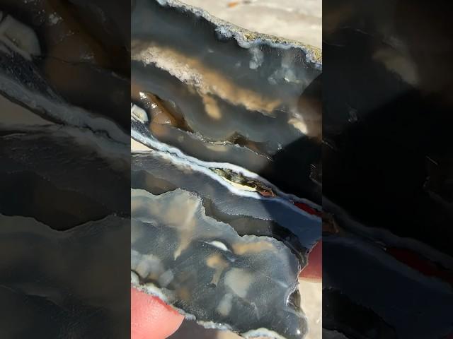 Which Agatized Coral Geode is your favorite? 🪸 #agatedad #geodes #geology