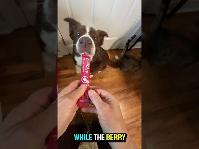 More bounce, more joy! 