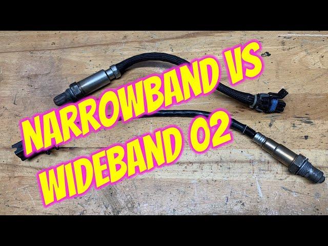 Narrowband vs Wideband AFR Gauge