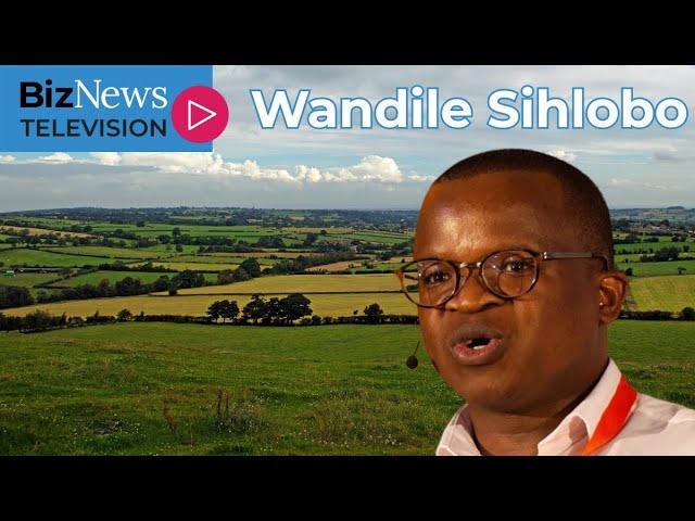 Wandile Sihlobo: SA Govt. hoarding 2,5 million hectares of land acquired under land redistribution