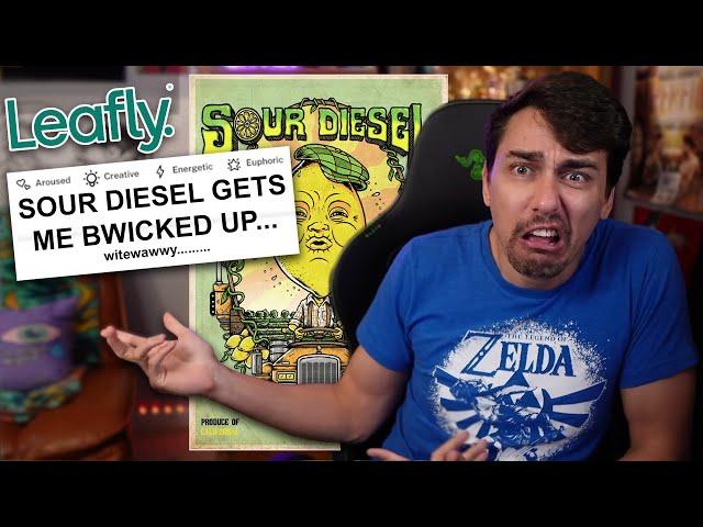 Try NOT to Laugh at Sour Diesel Reviews....