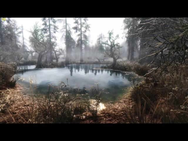 TES V - Skyrim Kountervibe Enb - Northern Lights