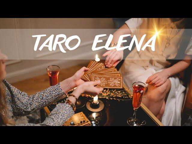 Мои контакты "TARO ELENA"