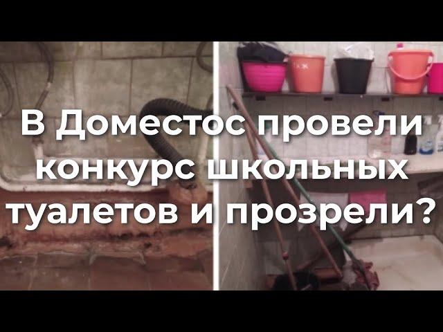 В Доместос провели конкурс школьных туалетов и прозрели?