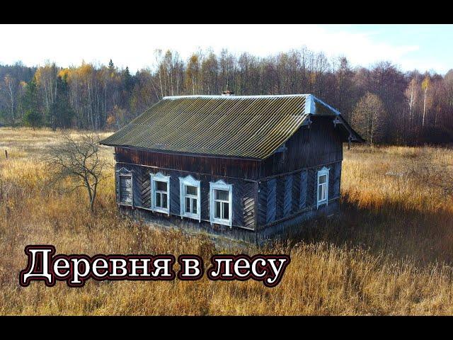 ЗАБРОШЕННЫЕ И ВЫМИРАЮЩИЕ ДЕРЕВНИ. НОЧЁВКА В ЛЕСУ В МОРОЗ. Деревни в глубинке Нижегородской области.