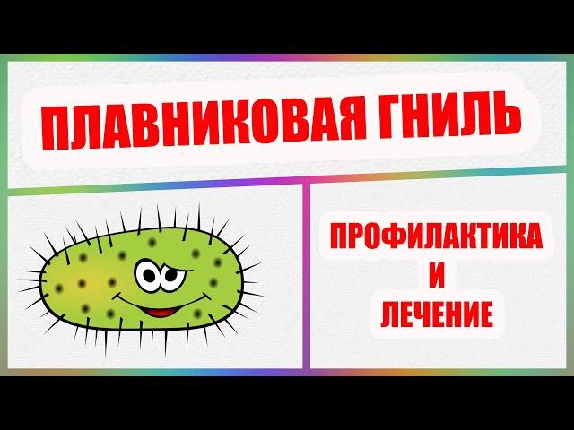 Болезни аквариумных рыбок. Плавниковая гниль. Как лечить Псевдомоноз