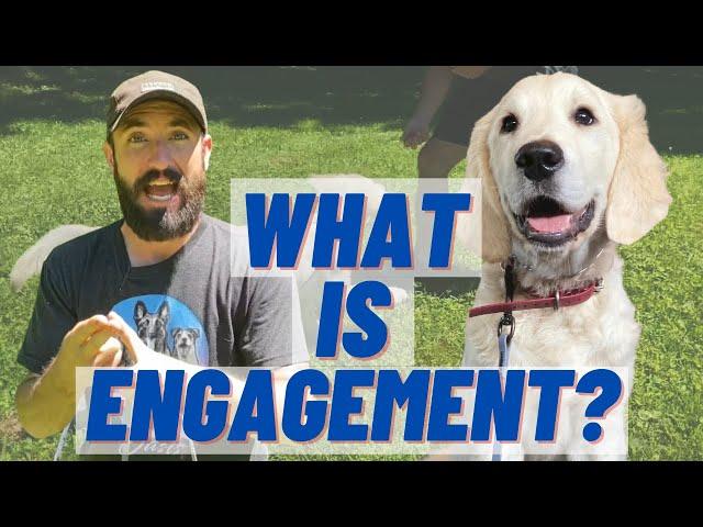 MUST WATCH If You Have A PUPPY! Dog Training 101!