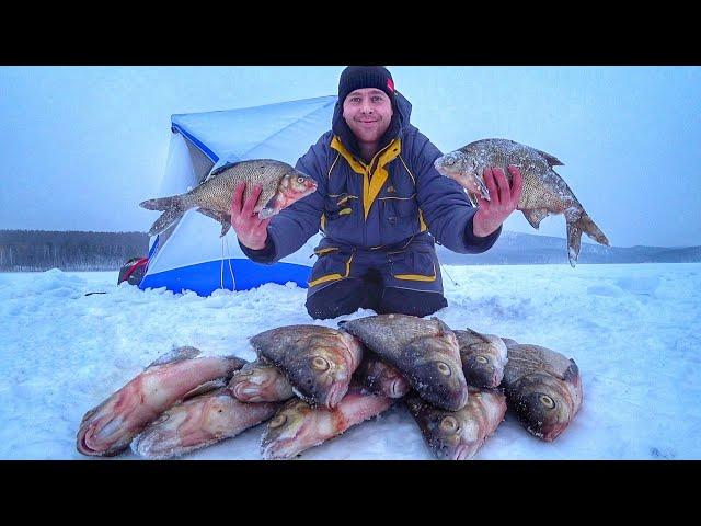 ЛЕЩ КЛЮЕТ ВСЮ НОЧЬ! Ночная ловля леща зимой в палатке. Лещ на коромысло