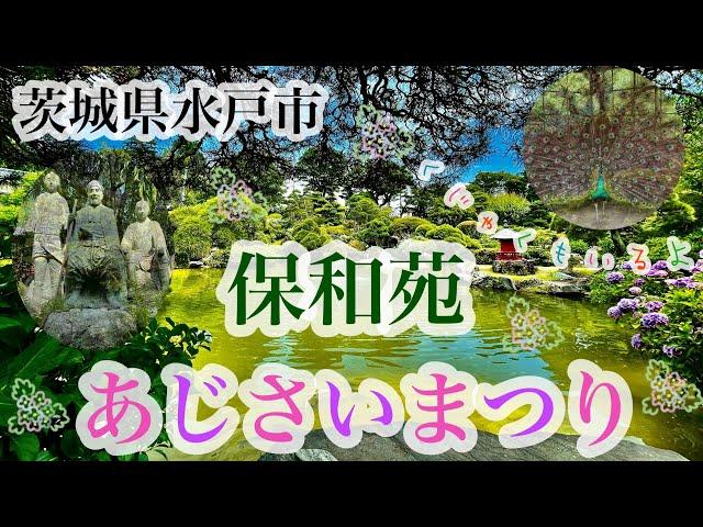 保和苑　徳川光圀公（水戸黄門）が名付けたとされる庭園　あじさいまつり