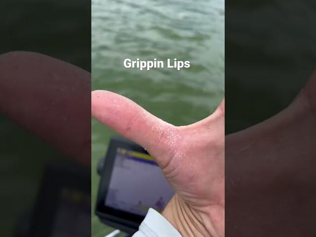 Bass Thumb is the Best Thumb