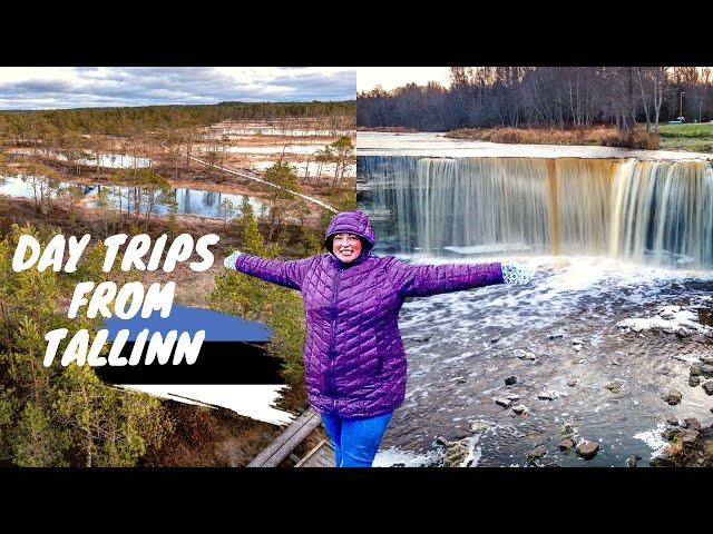 Best Day Trips from Tallinn Estonia | Beautiful Estonian Countryside