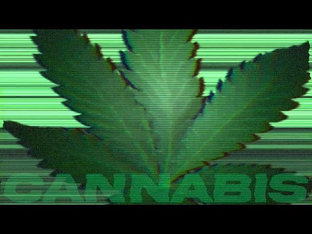 [BEST HIGH EVER] CANNABIS MUSIC | CHILL SYNTHWAVE | 432HZ SUBLIMINAL MARIJUANA MEDITATION MUSIC