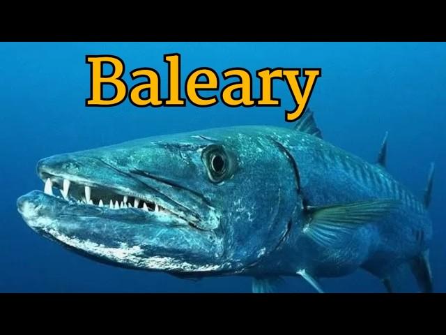 Baleary - Nieujarzmiona Przyroda. Cały Film po Polsku