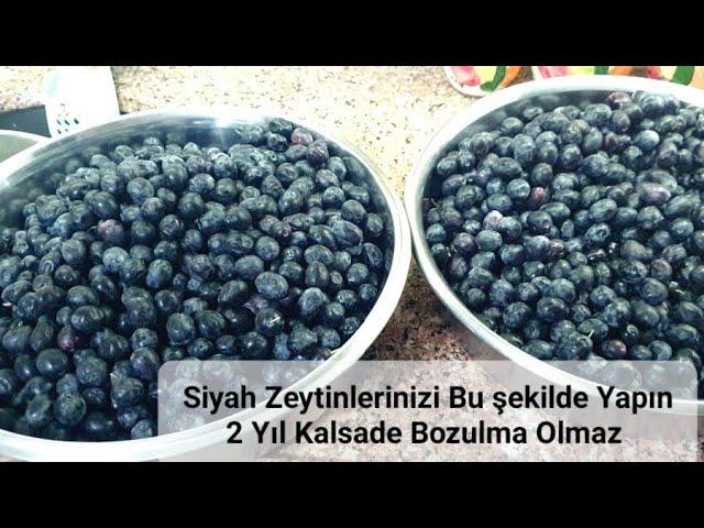 Bu Tarifle Siyah Zeytinleriniz En Az 2 Yıl Bozulmaz #siyahzeytinnasılyapılır #siyahzeytinkurma