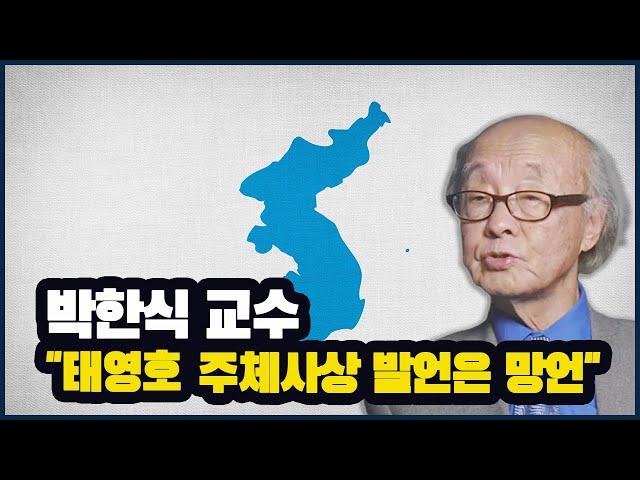 박한식 교수 "태영호의 주체사상 발언은 망언"