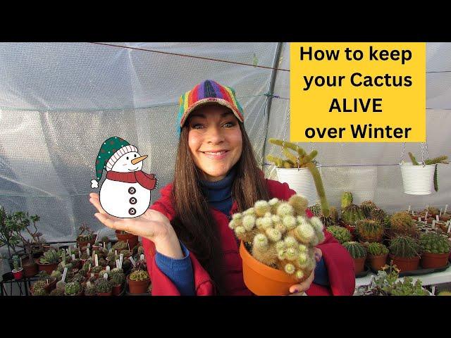 How to keep your Cactus ALIVE over Winter #cactus #cacti #cactusplants