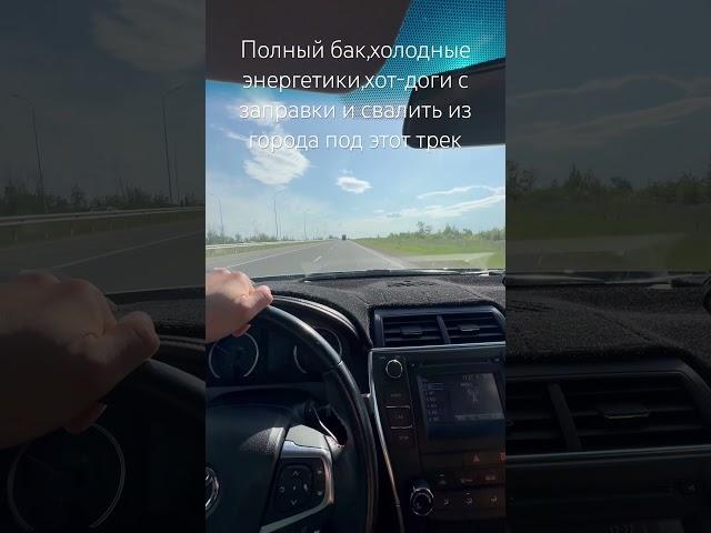 11 августа 2024 г.