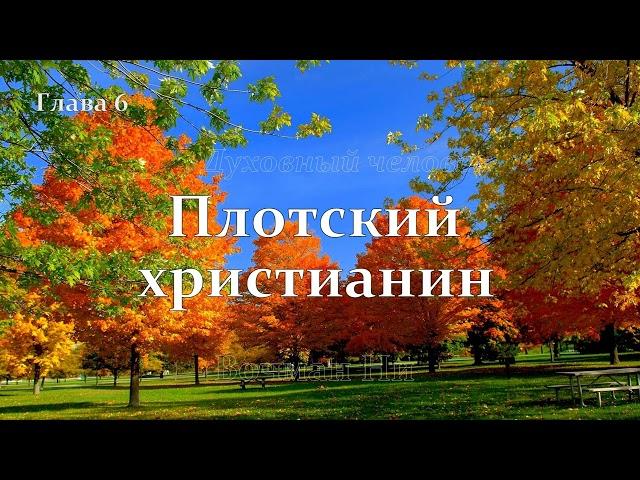 "Духовный человек" Вочман Ни глава 6