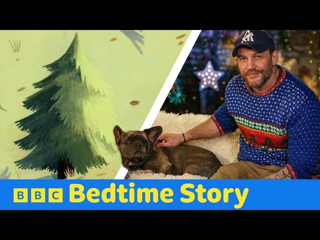 Tom Hardy reads The Christmas Pine  | CBeebies Bedtime Story