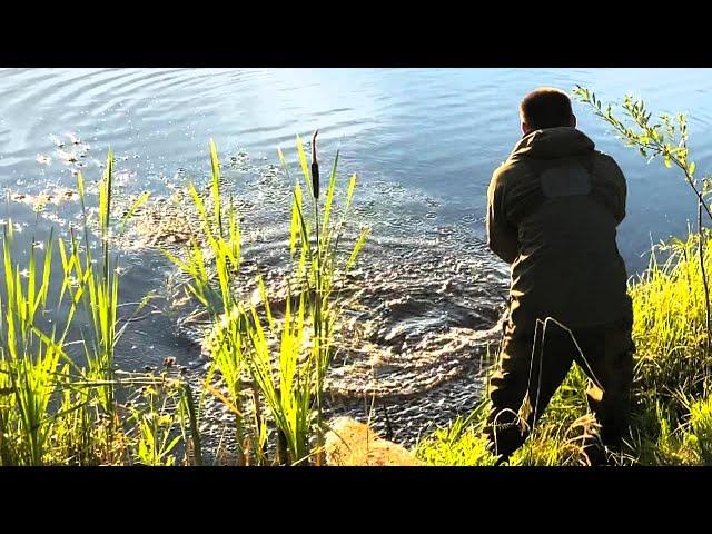 ЖЕЕЕСТЬ...БРЕВНО ВНЕЗАПНО ОЖИЛО И СТАЛО СОПРОТИВЛЯТЬСЯ! РЫБАЛКА В ДИКОМ забытом водоеме.