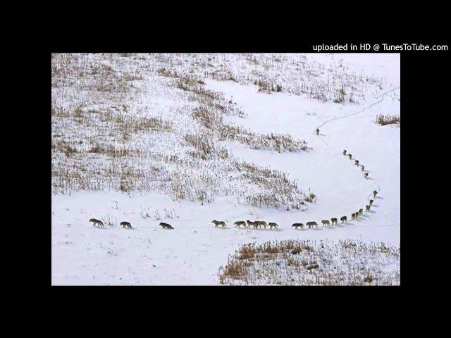 Артур - Падал белый снег.................