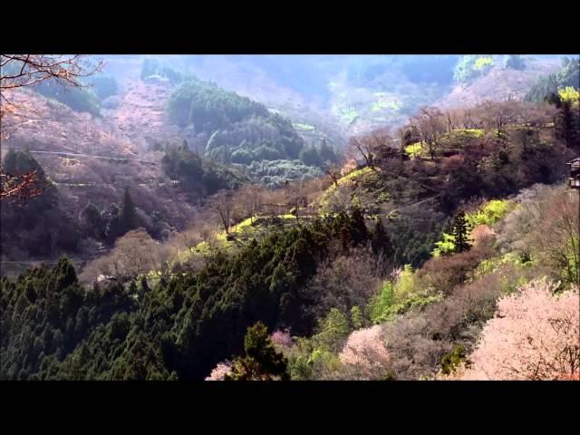 Magna Canta - Hymn (HD video)
