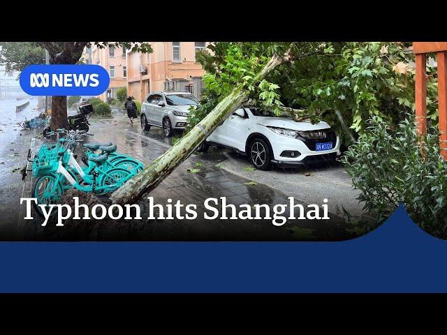 Shanghai hit by strongest storm in 75 years, Typhoon Bebinca | The World