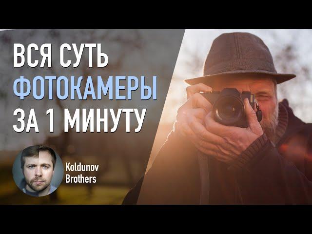 Основы фотографии для занятых. Быстрый старт