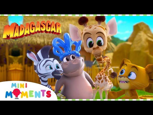 Let's Get This Party Started!  | Madagascar: A Little Wild | Compilation | Mini Moments