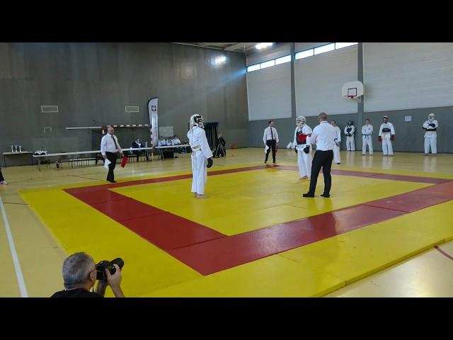 Coupe Nationale De Nippon Kempo Nancy 2016