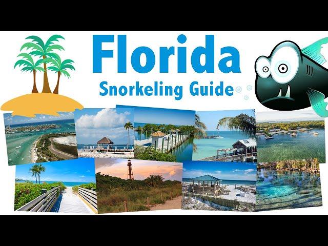 Our Top 9 Snorkel Spots in Florida: Beaches - Reefs - Marine Life