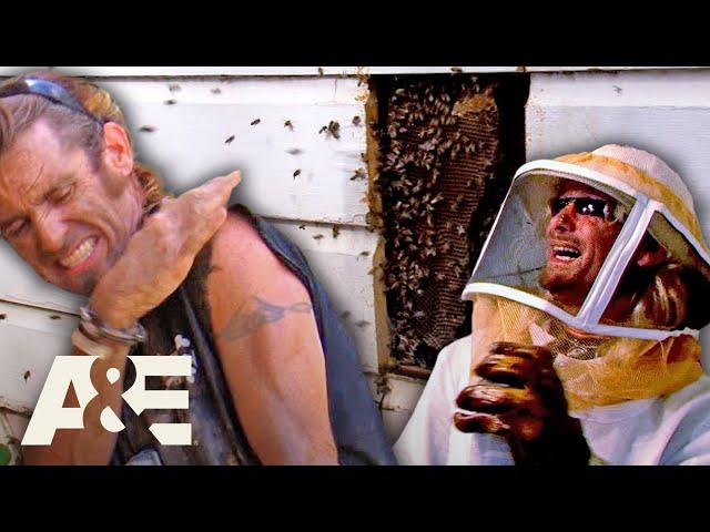 Billy's Biggest BEE Battles! - Part 2 | Billy the Exterminator | A&E