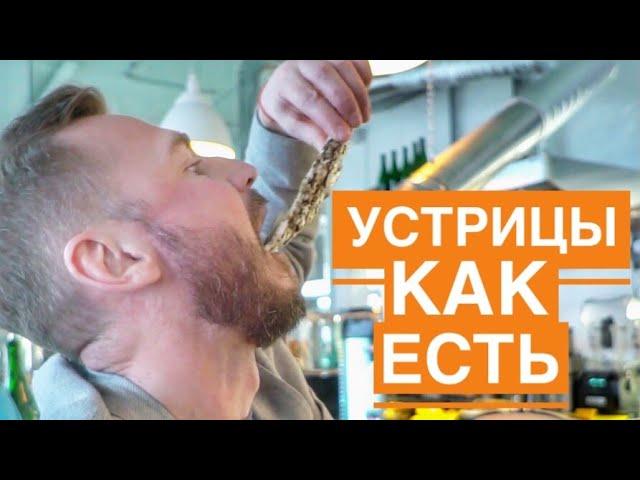 Устрицы:  как есть, сколько стоят, виды, обзор.