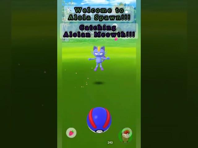 CATCHING SHINY ALOLAN MEOWTH IN WELCOME TO ALOLA OF POKÉMON GO | THIRD SHINY OF THE EVENT | 3BFierce