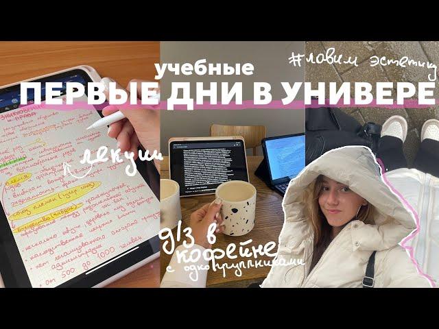 пару дней с юрфака | подготовка к семинарам, много задают? обзор на корпус вшэ